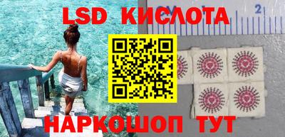 шишки Заводоуковск