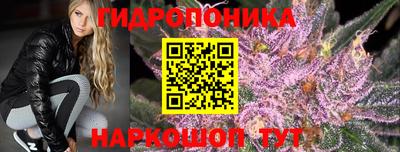 гидра Саяногорск