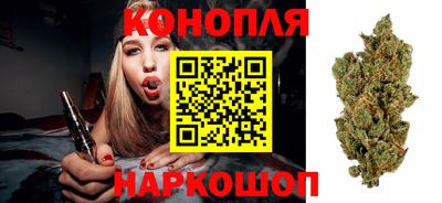 шишки Заводоуковск